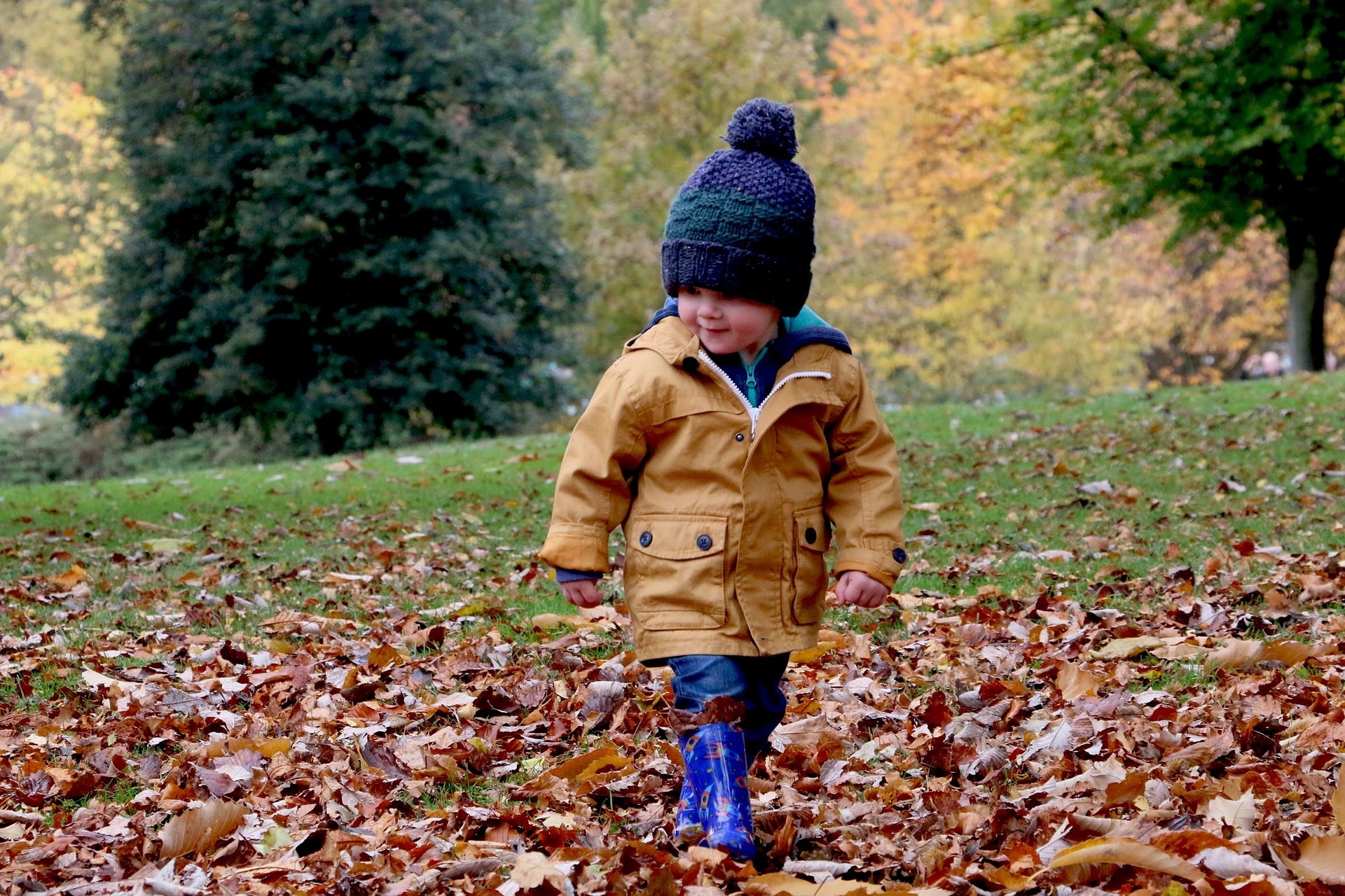 child in autumn