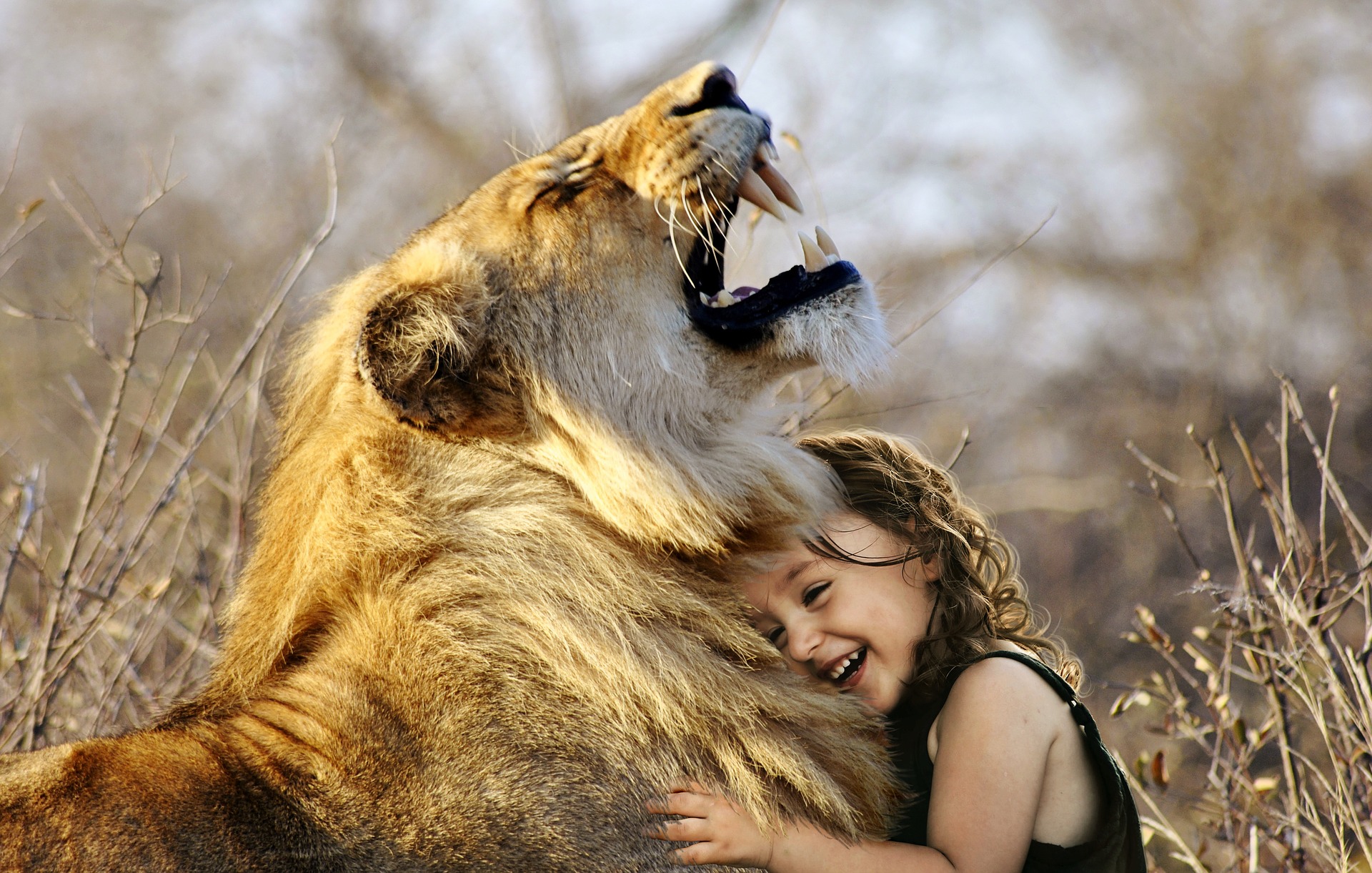 lion being hugged by a girl