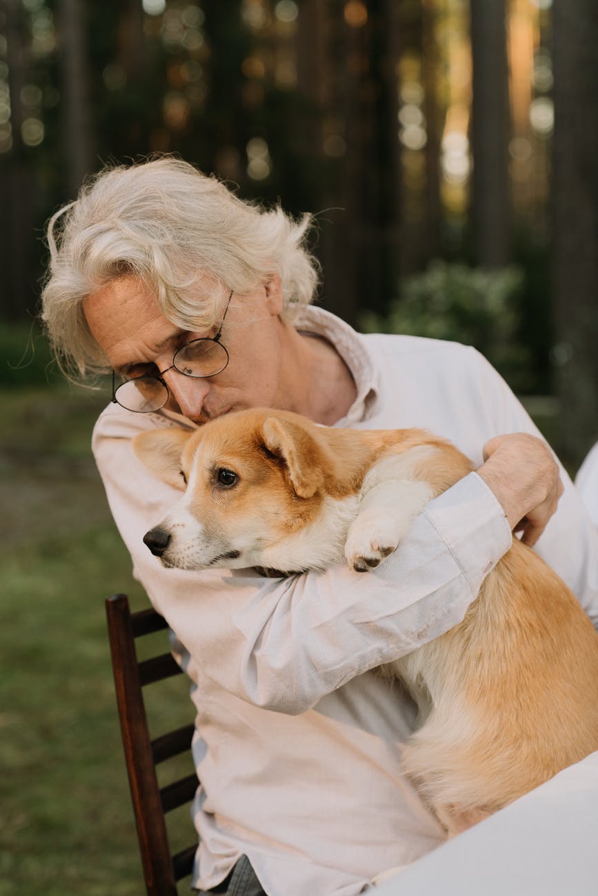 woman in white long sleeve shirt kissing brown and white short coated dog