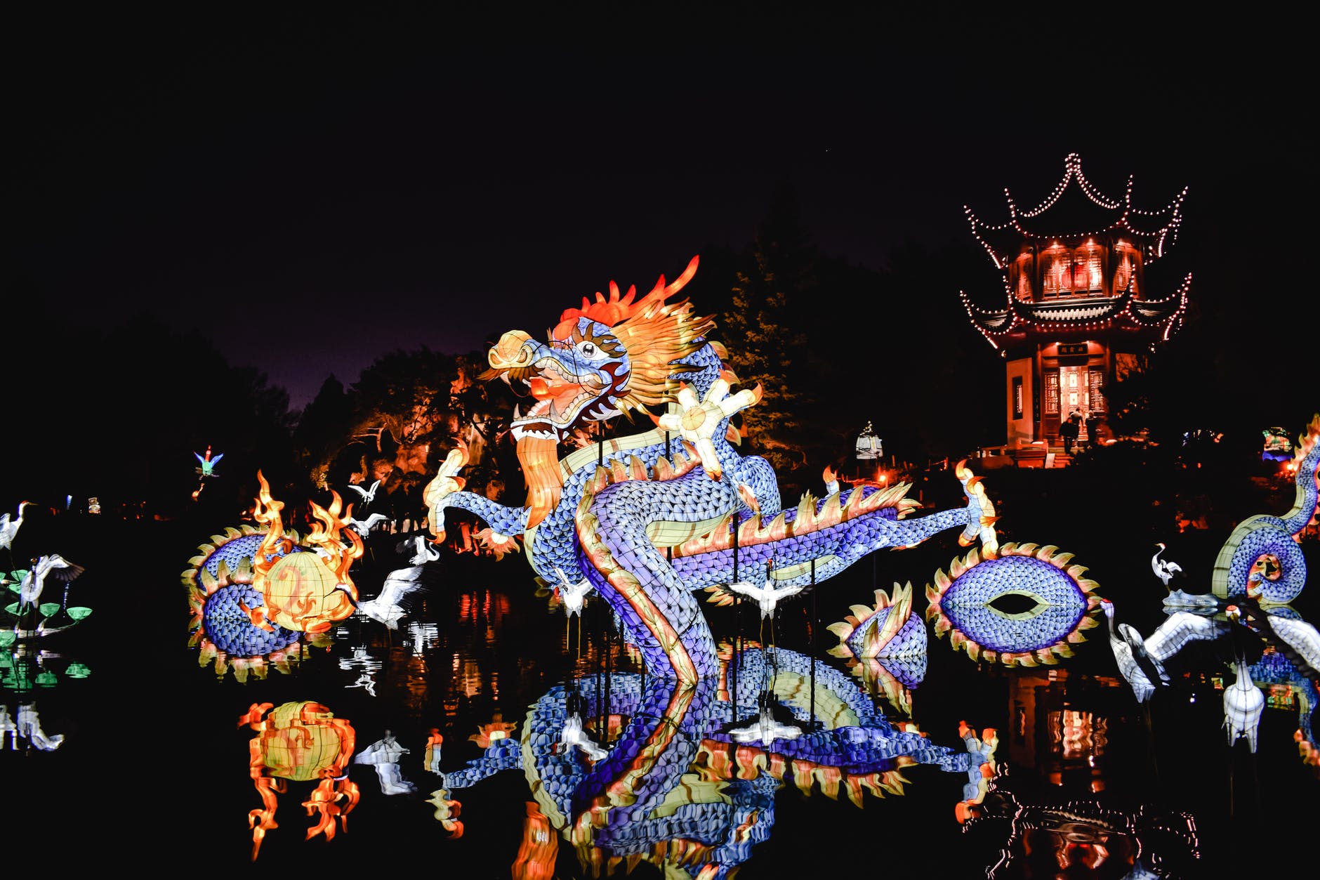 dragon festival during nighttime